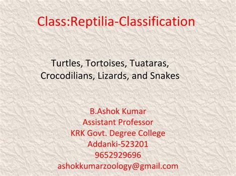 Classification of reptilia | PPT