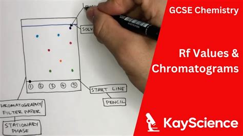 Chromatograms & Calculating Rf Values - Chromatography - GCSE Chemistry | kayscience.com - YouTube