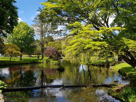 Are Dogs Allowed In The Japanese Gardens Kildare