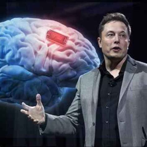 Fondi raccolti: la nuova startup di Elon Musk vuole connettere il cervello umano ai computer ...