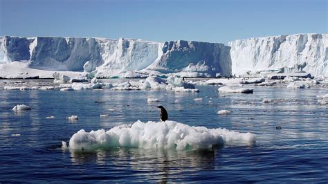 New discoveries in Antarctica shed light on climate change's impact — MercoPress