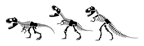 Tyrannosaurus Rex Skeleton Silhouette Vector Illustration Stock ...