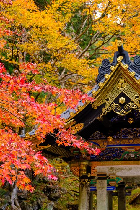 Travel Photography Tips for Capturing Fall Colors in Japan