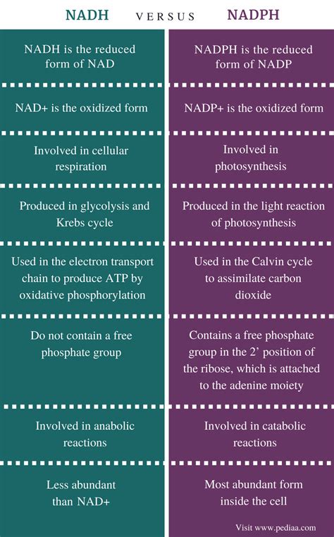 Difference Between NADH and NADPH | Definition, Production, Usage | Study biology, Biochemistry ...