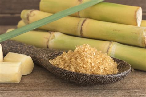 Cane Sugar Market Growth Analysis and Forecast to 2026