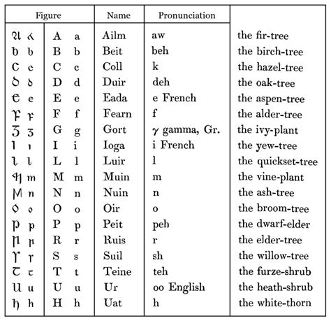 Celtic Symbols And Meanings For Your Irish Tattoo