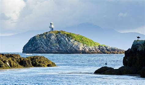 Scotland - The Isle of Coll in Summer - Naturetrek