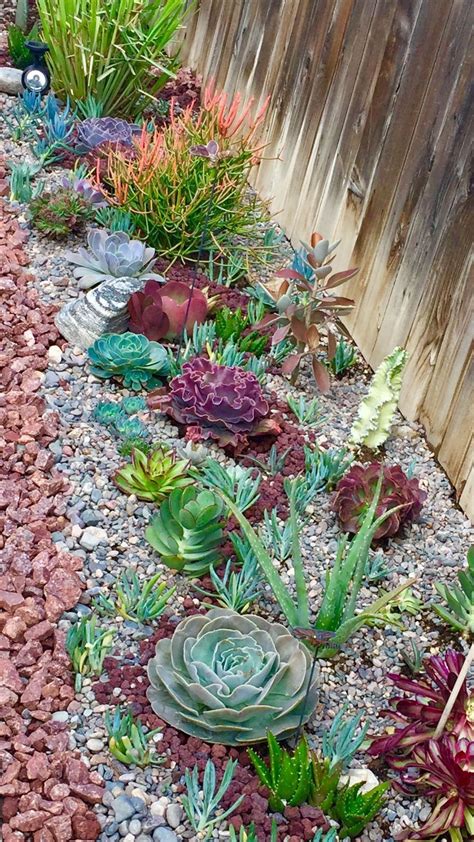 Incredible Cactus Garden Landscaping Ideas Best For Summer 12 - MAGZHOUSE