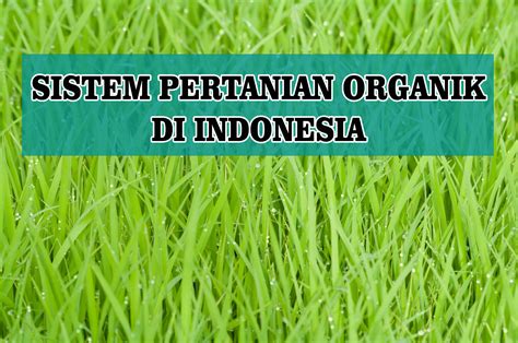 Sistem Pertanian Organik Di Indonesia - Plaza Obat