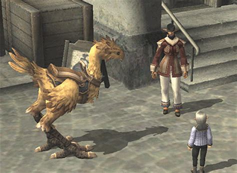 [Chocobo Guide] The Basics of Chocobo Breeding in FFXIV