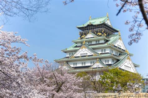 When and where to see cherry blossoms in Osaka this sakura season - Skyscanner Singapore