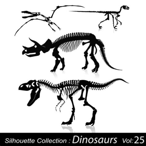 Allosaurus Bones: Over 196 Royalty-Free Licensable Stock Illustrations & Drawings | Shutterstock