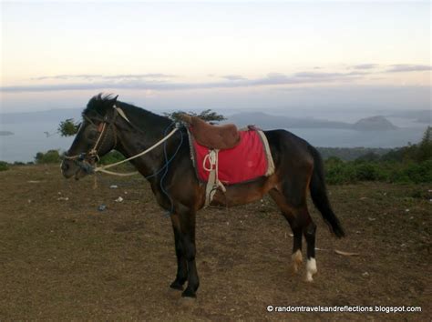 Random Travels & Reflections: Horseback Riding @ Picnic Grove, Tagaytay