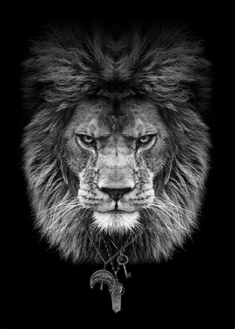 'Lion head black and white ' Poster, picture, metal print, paint by mk studio | Displate