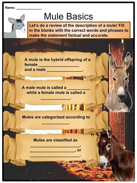 Mule Facts, Worksheets, Habitat, Characteristics & Diet For Kids