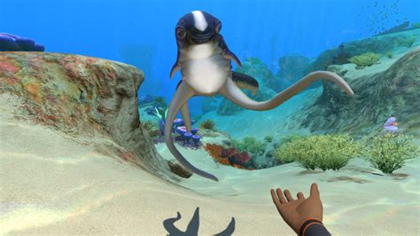 They need to make the cuddlefish into a plush : r/subnautica