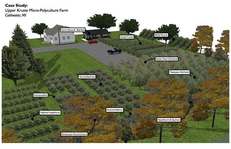 Micro Perennial Farm | Edible Landscapes, Permaculture, Grow Your Own Organically | Pinterest ...