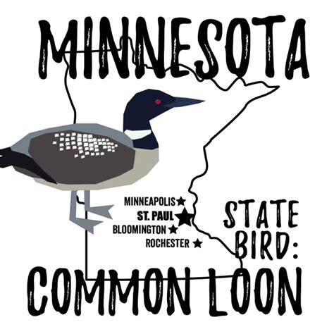 Minnesota State Bird - Bird Watching Academy