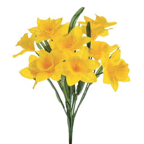 Daffodils PNG Transparent Daffodils.PNG Images. | PlusPNG