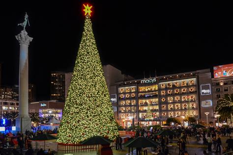 San Francisco Christmas Trees and Holiday Lights