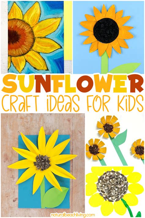 Sunflower Drawing Ideas | Best Flower Site