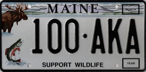 Maine License Plate Lookup - Lance Casey & Associates