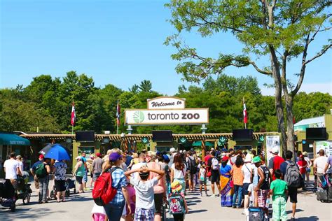 Toronto Zoo temporarily shut due to rise in Covid-19 cases | LaptrinhX / News