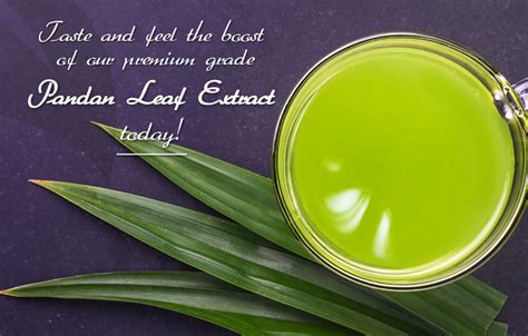 The Gift of Nature with Pandan Extract - Sebrinah Yeo