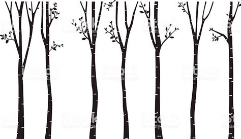 Birch Tree Clip Art Aspen Tree Clip Art Tree Clip Art | My XXX Hot Girl