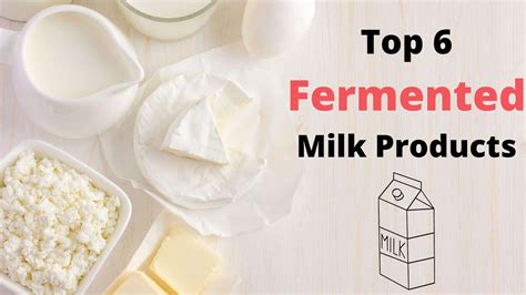 6 Fermented Milk Products - My Fermented Foods