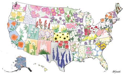 United States State Flower Map - Etsy 日本