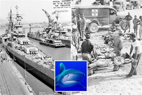 Inside deadliest shark attack EVER as 150 sailors from USS Indianapolis ...