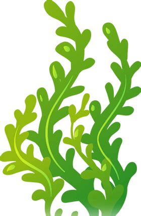 seaweed images clip art 10 free Cliparts | Download images on Clipground 2024