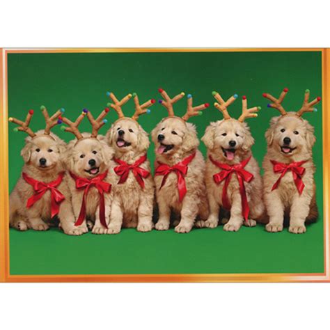 Row of Reindeer Puppies Wearing Antlers Box of 10 Cute Golden Retriever ...