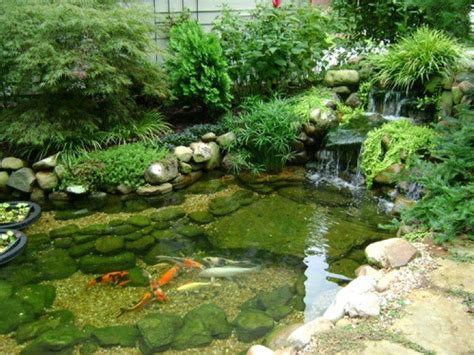 Koi Pond with natural stone bottom. Fish Ponds Backyard, Outdoor Ponds ...