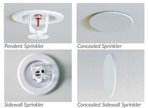 Ceiling Sprinkler Head Installation | Shelly Lighting