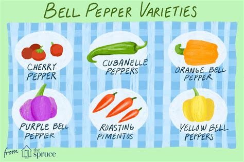 Types of Sweet Peppers - Bell Peppers and Beyond