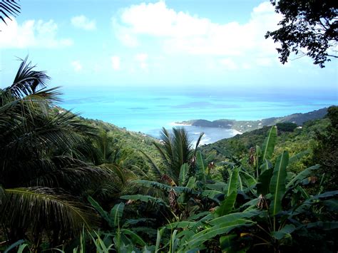 Hiking in the Sage Mountain National Park in Tortola, British Virgin Islands (Half-day). 1/2-day ...