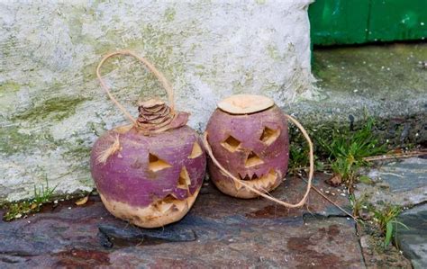 The Halloween Turnip: An American History - Urban Organic Gardener