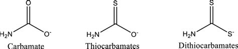 The general formulae of carbamate groups | Download Scientific Diagram