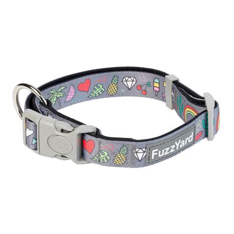 FuzzYard Coachella Dog Collar