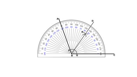 Draw an angle of 110° with the help of a protractor and bisect it. Measure each angle.