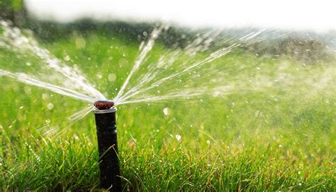 Quality Sprinkler Service Near Me & System Repair