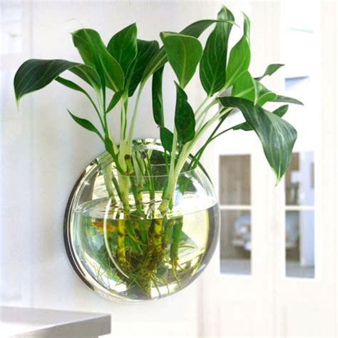 Pot Plant Wall Mounted Hanging Aquarium Transparent Acrylic Fish Bowl ...