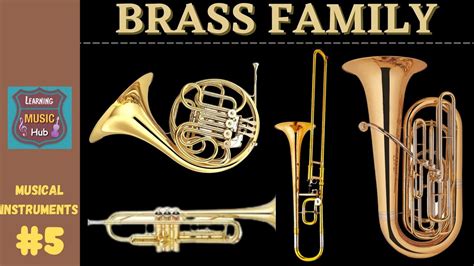 BRASS FAMILY | INSTRUMENTS OF THE ORCHESTRA | LESSON #5 | LEARNING MUSIC HUB | ORCHESTRA - YouTube
