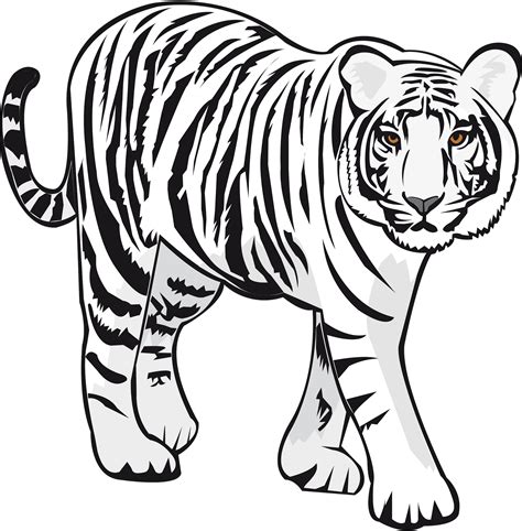 Tiger Black And White Clipart