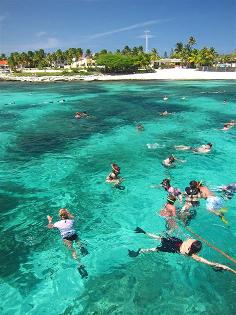 Complete Aruba Snorkeling Guide - Best Beaches And Tours