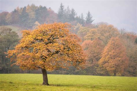 6 Ways to Take Better Autumn Landscape Photos | Nature TTL