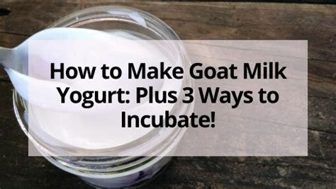 How to Make Goat Milk Yogurt: Plus 3 Ways to Incubate!