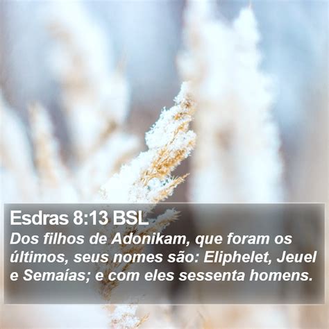 Esdras 8:13 BSL - Dos filhos de Adonikam, que foram os últimos,